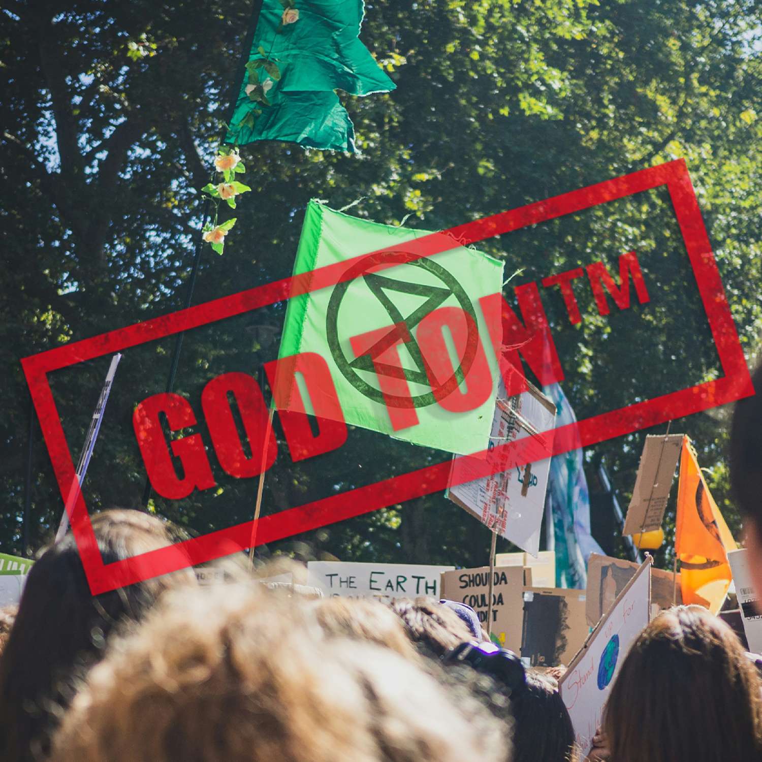 #382 - Klimataktivistiska FN-rapportörer och taltrattar för brunråttor – transkript