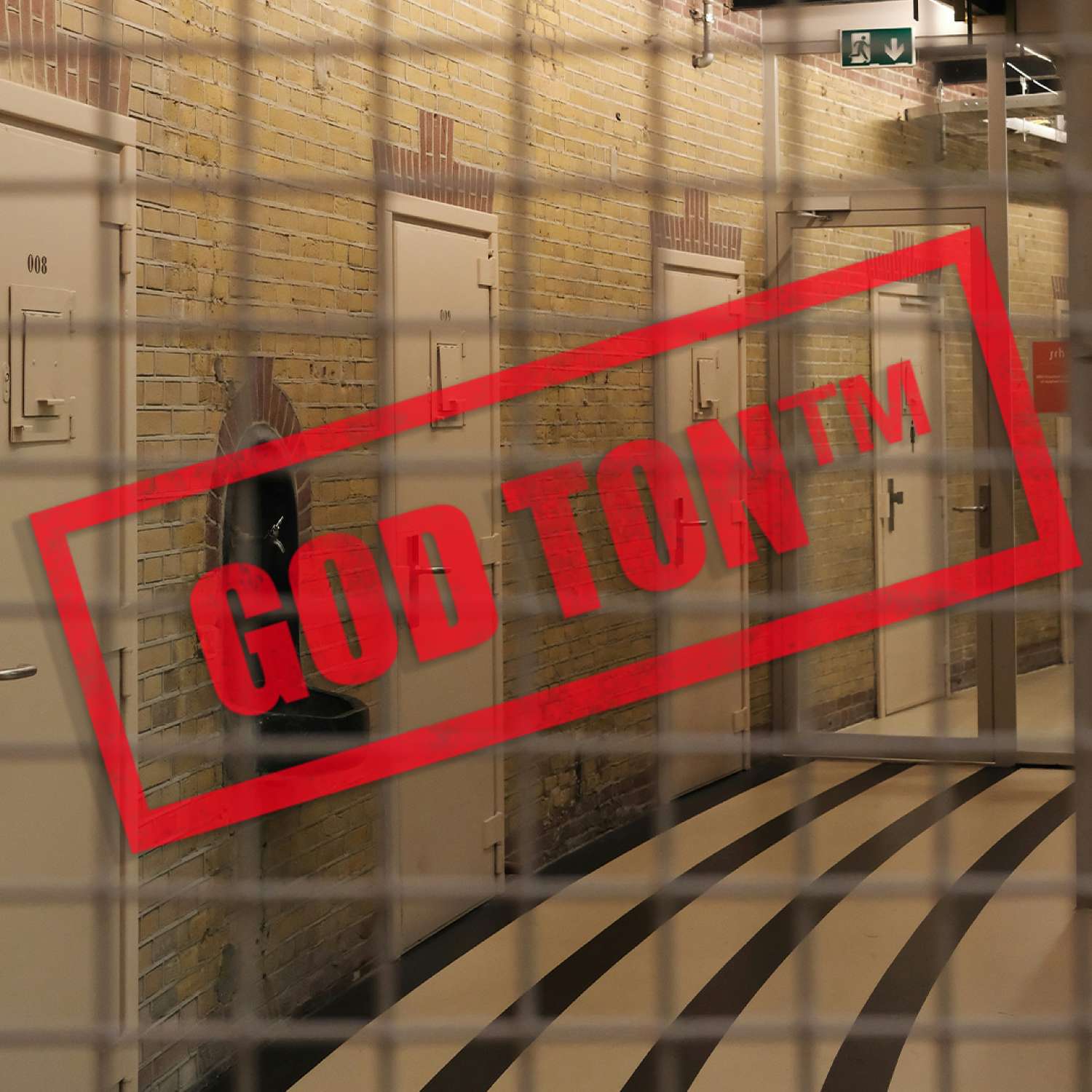 #378 - Nutid och framtid för Iran samt aktivismen i Lagrådet