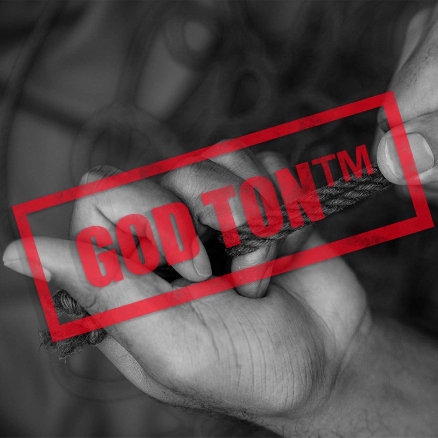 #358 - Magdalena Anderssons reptrick