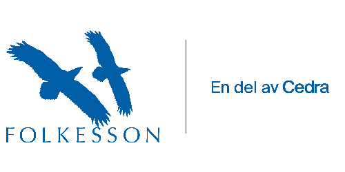 Folkesson Råd & Revision AB