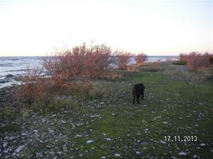 SANY0043