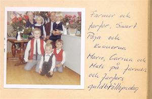 Kusiner + farmor och farfar på deras guldbröllop 1966 001