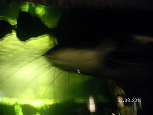 SANY0121