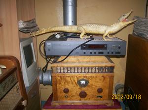 Alligator från början av 1950-talet. NAD CD-spelare. STERN & STERN. Typ: Conserton V30. från 1929.100_9707