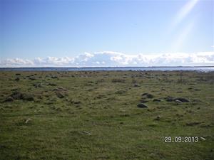 SANY0038