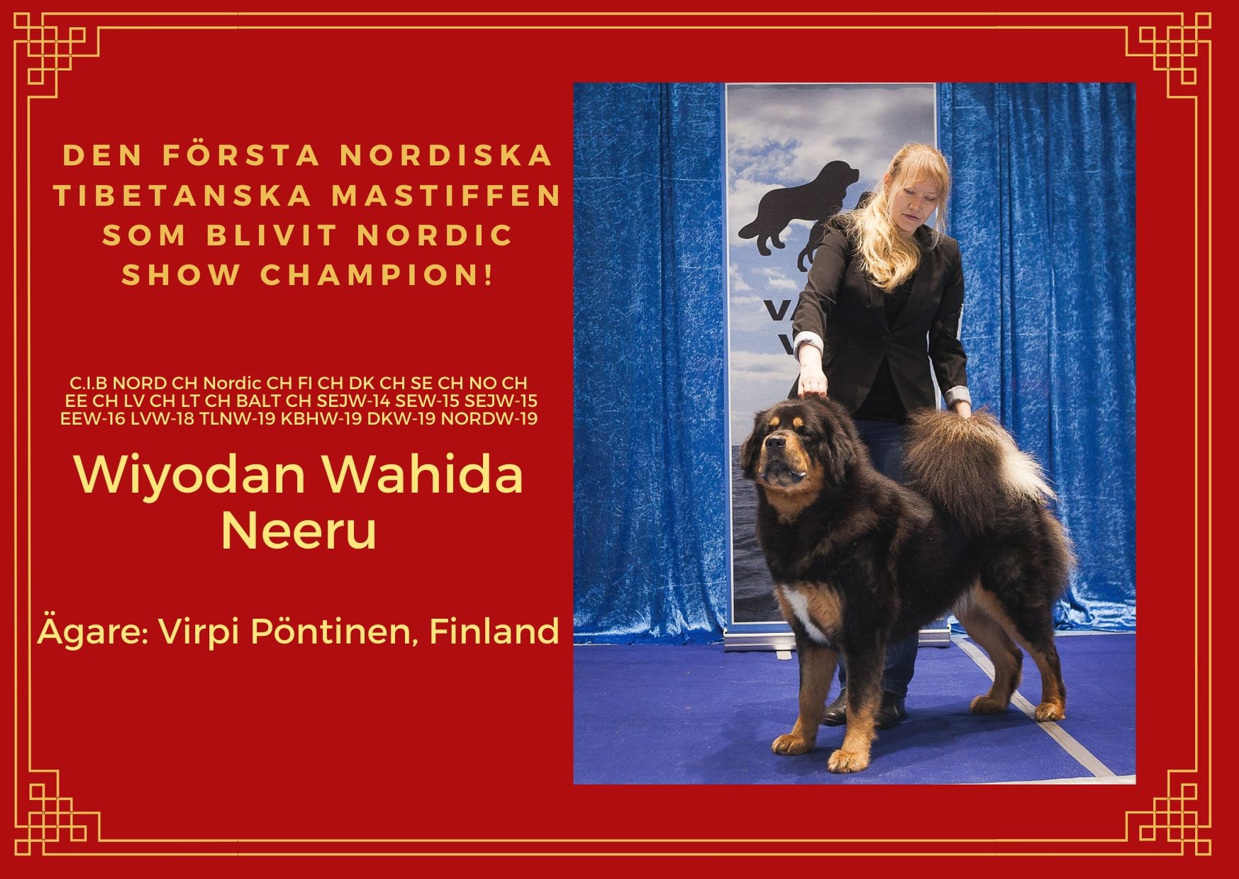 nordic show champion