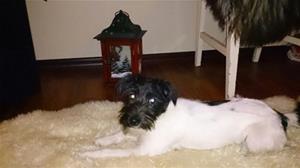 141205_Face_5_mnader