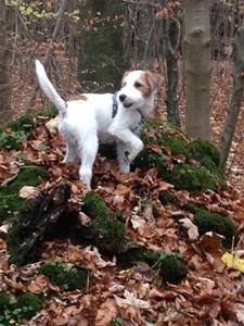 Eddie_141207_5