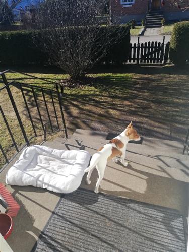 I solen I solen