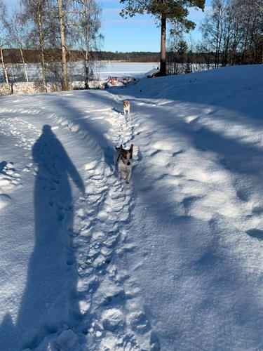 På väg från sjön På väg från sjön