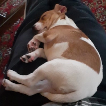 Sover skönt Sover skönt