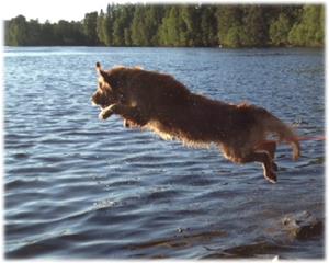 Sandyhopp Sandyhopp