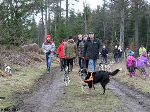 Hundetreff_18022014_28 copy Hundetreff_18022014_28 copy