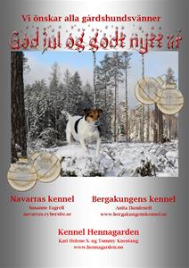 Juleannonse_Sverige_2016