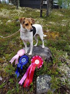 Ella_YOYO_07082017_1