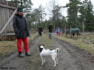 Hundetreff_18022014_23 copy Hundetreff_18022014_23 copy