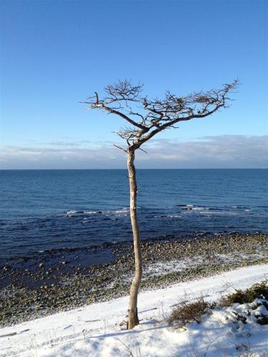 Underbara ö Underbara ö