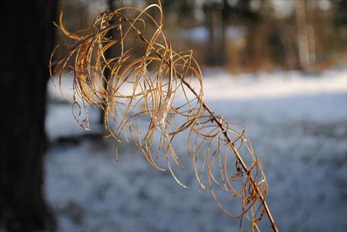 vinter vinter