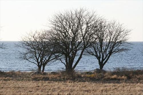 naturbild naturbild
