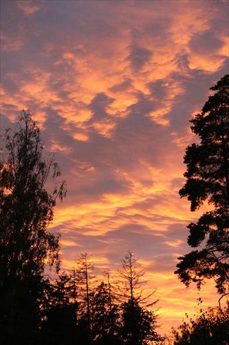 Himlen Himlen