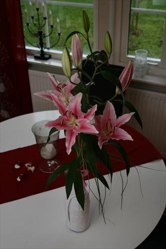 blomma blomma