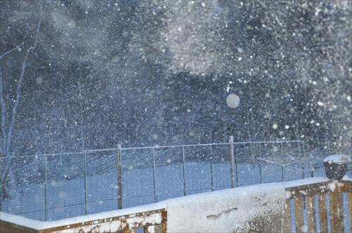 vinter vinter