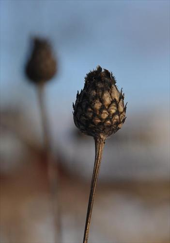 vinter vinter
