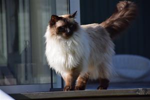 IMG_1215 IMG_1215