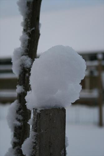 snö snö