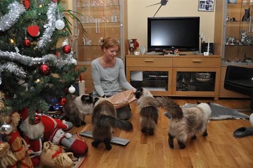 jul jul