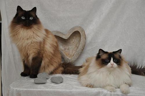 Plex & Athena Plex & Athena