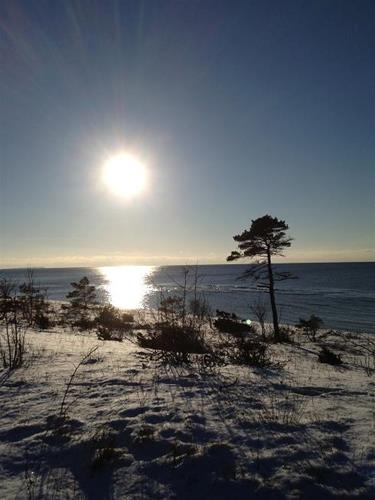 Gotland är otroligt vackert även på vintern Gotland är otroligt vackert även på vintern