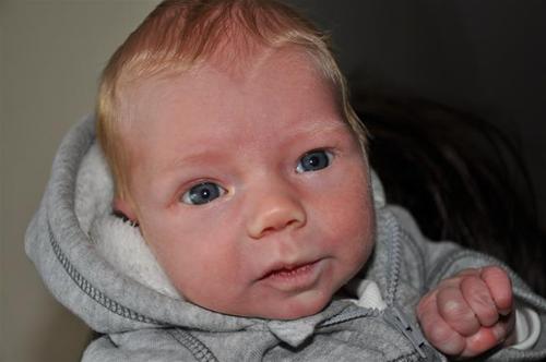 Millie 11 09 01 303 Millie 11 09 01 303