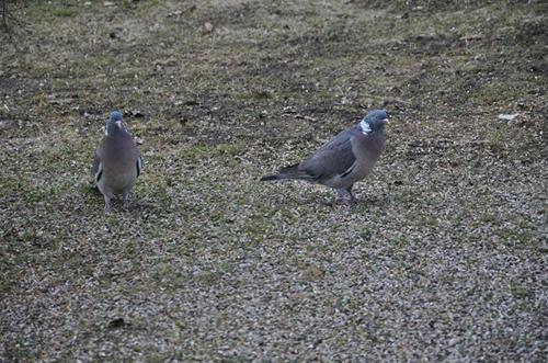 bilder 100411 341 bilder 100411 341