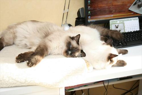 mor & son mor & son