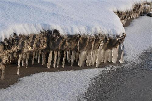 vinter vinter
