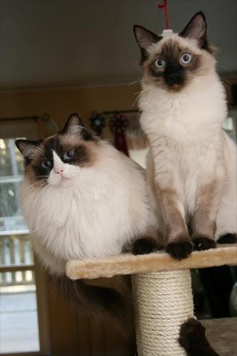 athena & Bivve athena & Bivve