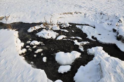 vinter vinter