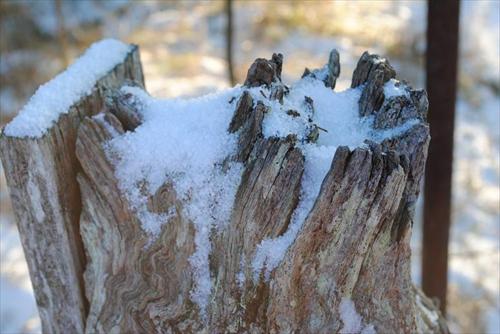 vinter vinter