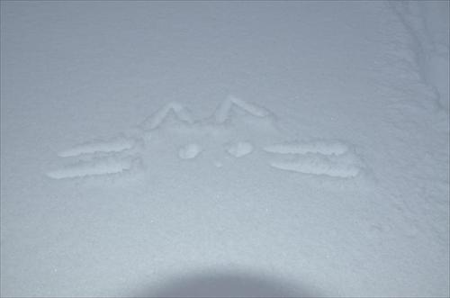 snökonst snökonst