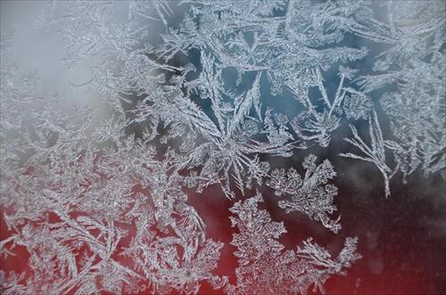 frost frost