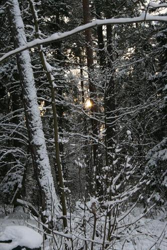 vinter vinter