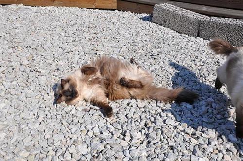 bilder 100411 004 bilder 100411 004