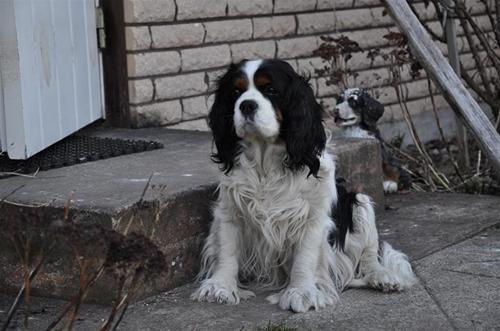 bilder 100411 082 bilder 100411 082