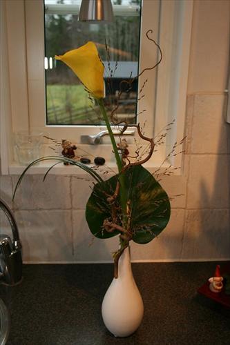 blomma blomma