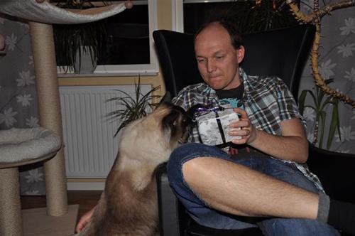 Bivve hjälper husse Bivve hjälper husse