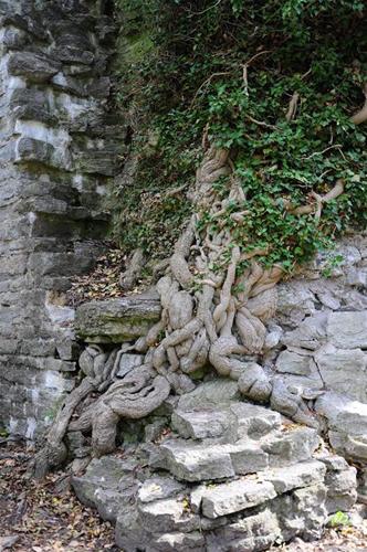 Botaniska Botaniska