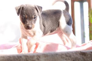 IMG_1030 IMG_1030
