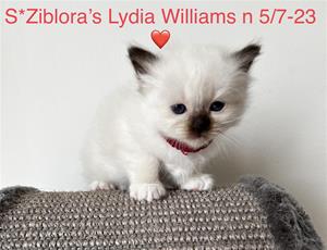 S*Ziblora’s Lydia Williams n 5/7-23 4,5 v