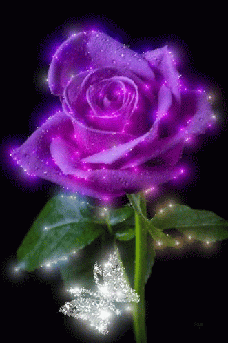 purples-rose-glitter